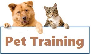 Pet Training - Pet Training Website